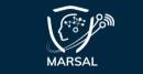 MARSAL logo